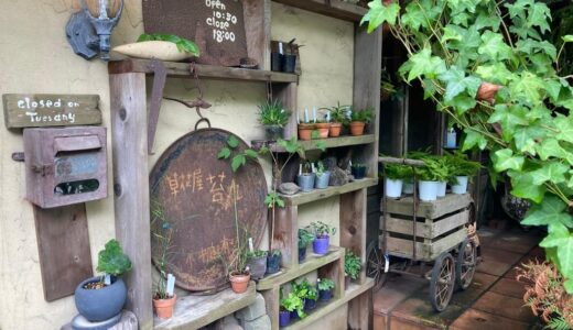 鎌倉山の草花屋「苔丸」は植物も雰囲気も素敵な園芸店！